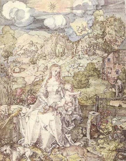 Albrecht Durer The Virgin among a Multitude of Animals